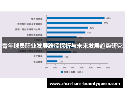 青年球员职业发展路径探析与未来发展趋势研究